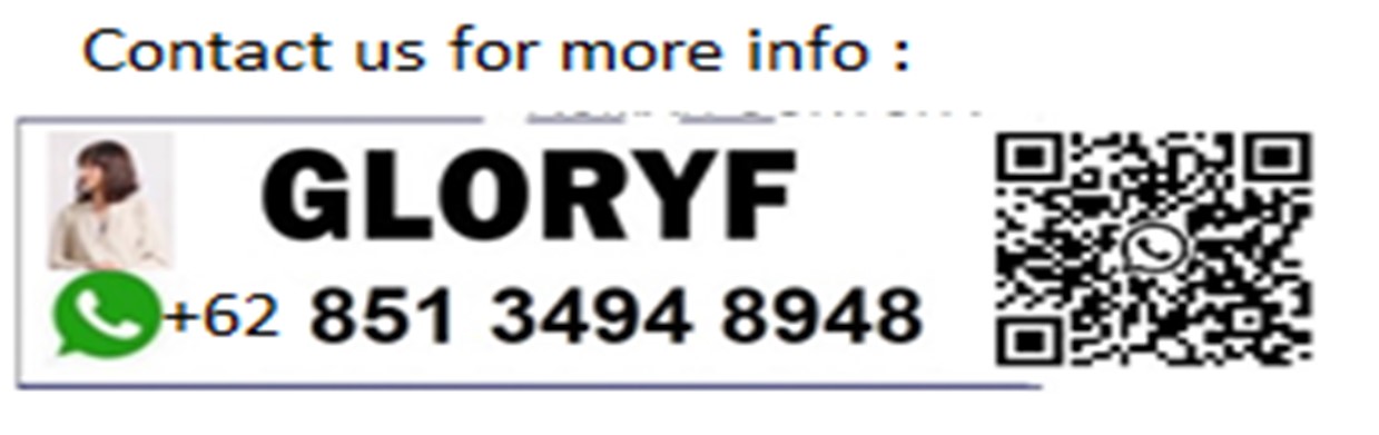 Contact WhatsApp